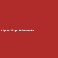 Eigenwillige Seide-Socke