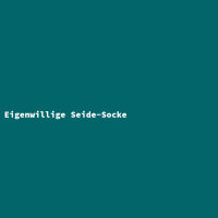 Eigenwillige Seide-Socke