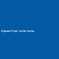 Eigenwillige Seide-Socke