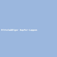 Mittelmäßiger Kupfer-Lappen